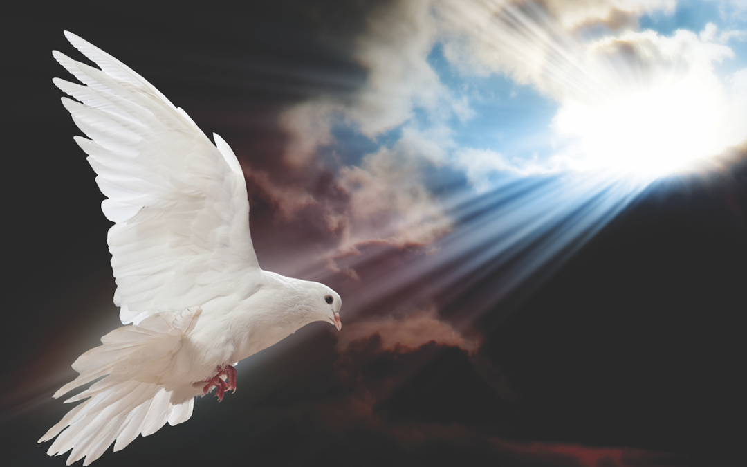 Holy Spirit 